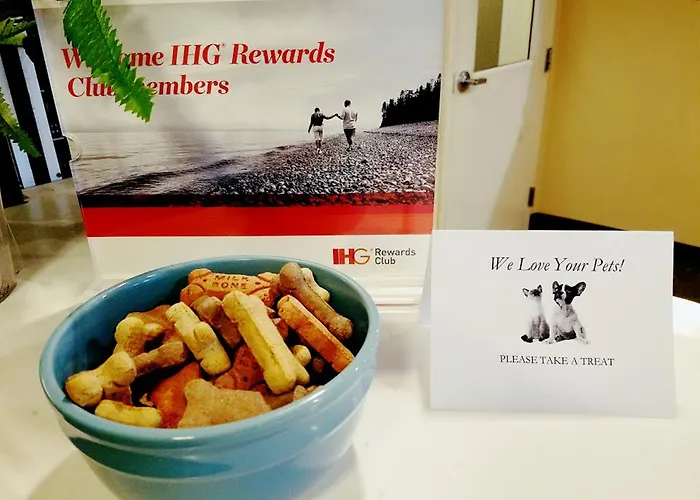 Candlewood Suites - East Syracuse - Carrier Circle By Ihg
